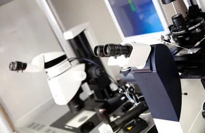 体外受精専門サイト