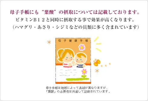 母子手帳にも葉酸の摂取については記載しております。ビタミンB12と同時に摂取する事で効果が高くなります。(はまぐり・あさり・シジミなどの貝類に多く含まれています)母子手帳は地域によって表紙がことなりますが、「葉酸」の必要性は共通して記載されています。