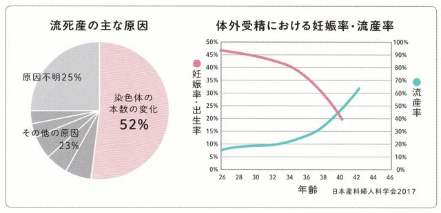 流死産の主な原因　体外受精における妊娠率・流産率