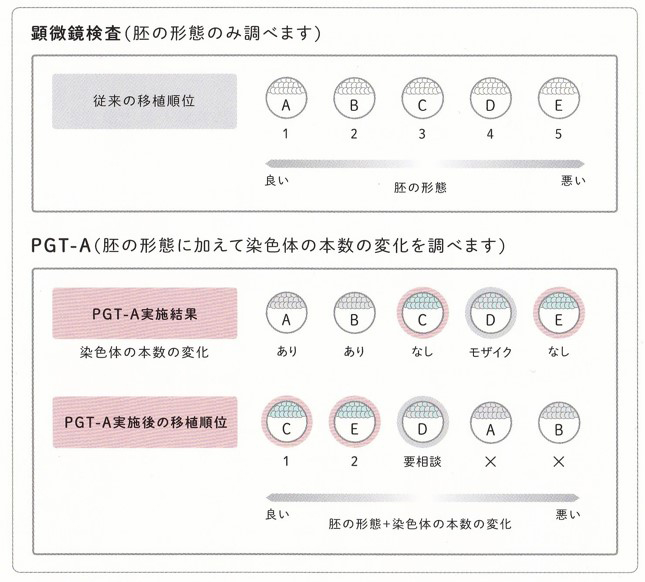 顕微鏡検査（胚の形態のみ調べます）／PGT-A（胚の形態に加えて染色体の本数の変化を調べます）