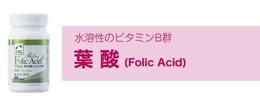 水溶性のビタミンB群 葉酸(Folic Acid)